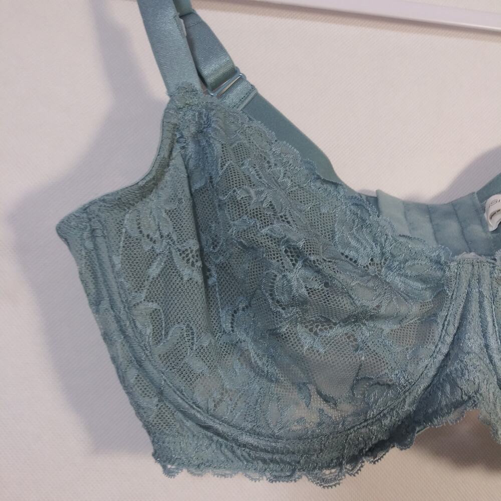 HSIA Teal FLOWER POWER Freesia Lace Underwire Bra Size 36D - Picture 3 of 6